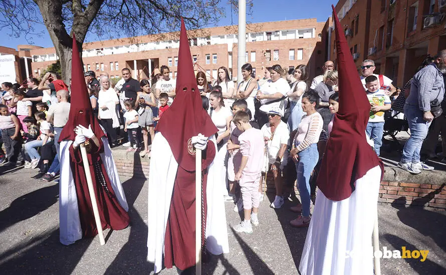 LAS PALMERAS 433