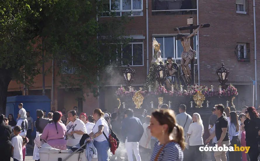 Las palmeras 43