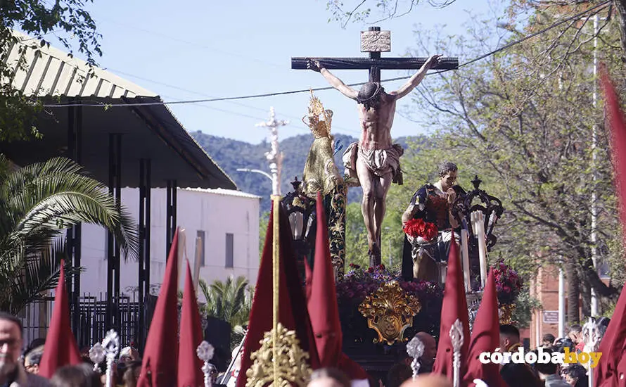 LAS PALMERAS 09