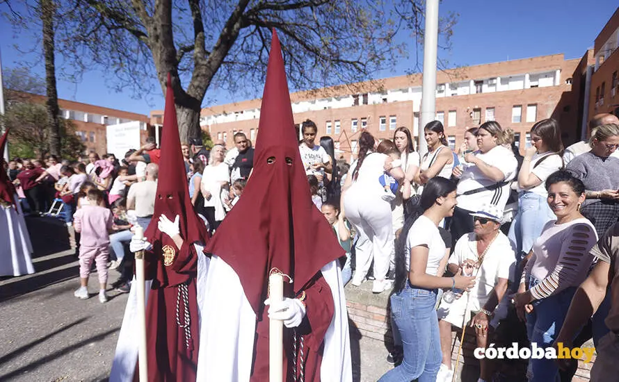 LAS PALMERAS 55