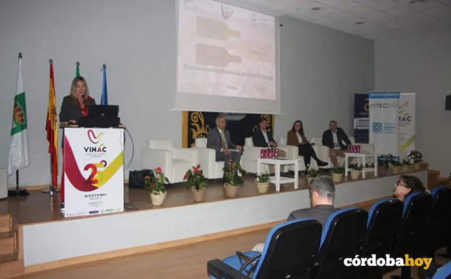 Participaci&oacute;n de la Diputaci&oacute;n de C&oacute;rdoba en Vinac de Almendralejo FOTO DIPUTACI&Oacute;N DE C&Oacute;RDOBA