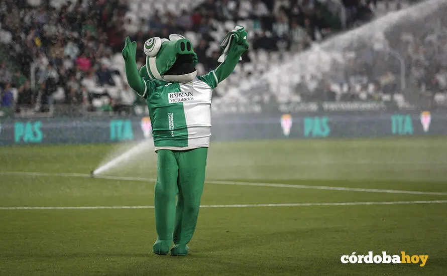 Partido C&oacute;rdoba CF-Real Zaragoza