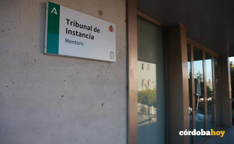 tribunal de instancia de montoro