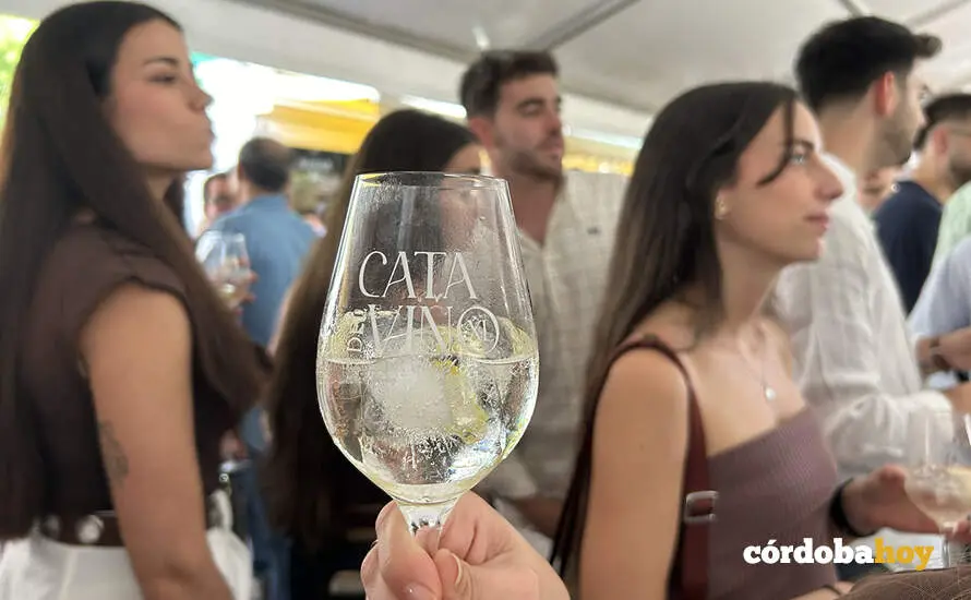 Cata 2