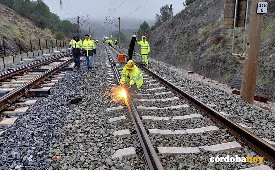 Varios operarios durante las obras de reparaci&oacute;n de las v&iacute;as en Adamuz, a 30 de enero de 2026, en Adamuz FOTO MINISTERIO DE TRANSPORTES Y MOVILIDAD SOSTENIBLE