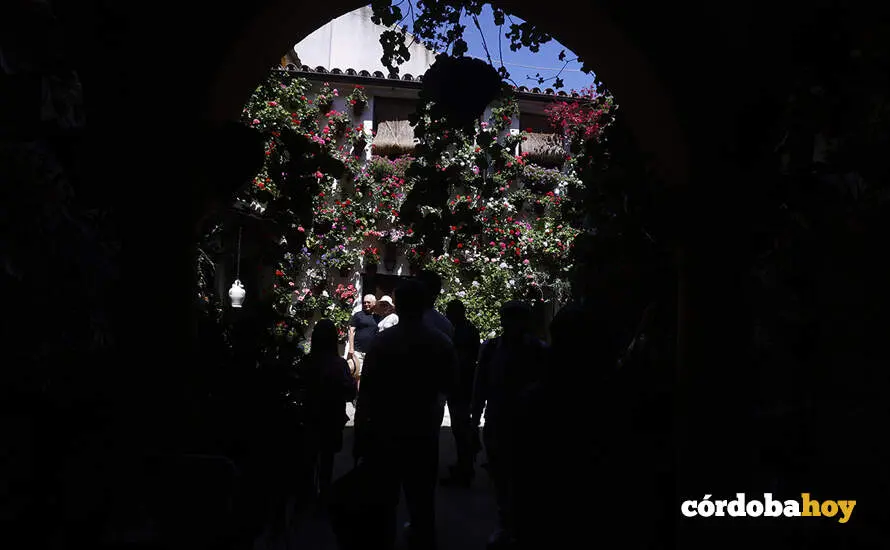 Patios 31