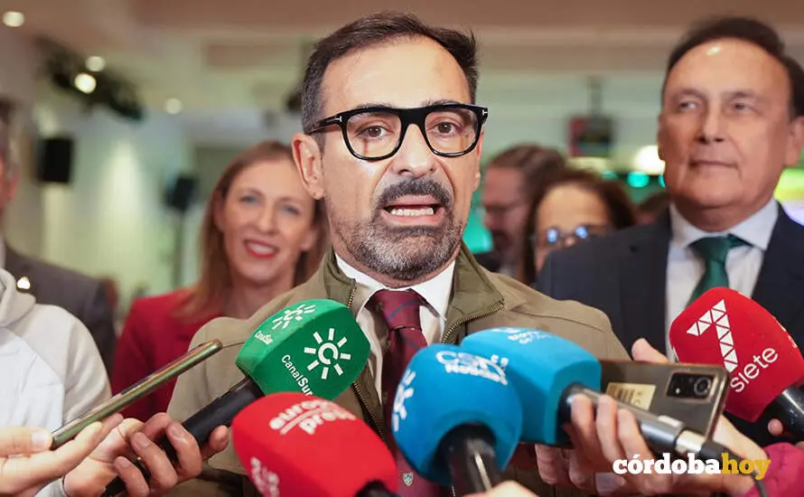 El vicepresidente tercero de la Diputaci&oacute;n de C&oacute;rdoba, F&eacute;lix Romero, en una imagen de archivo FOTO FRANCISCO J. OLMO / EUROPA PRESS
