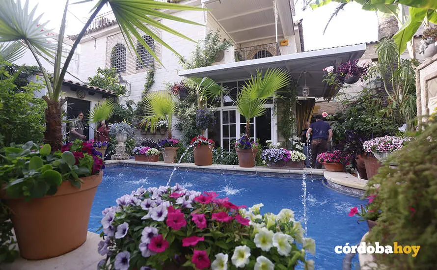 Patios 6