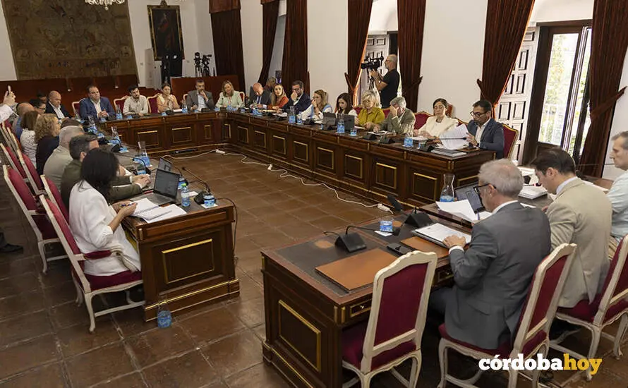 Pleno ordinario de la Diputaci&oacute;n correspondiente a mayo de 2026 FOTO DIPUTACI&Oacute;N DE C&Oacute;RDOBA