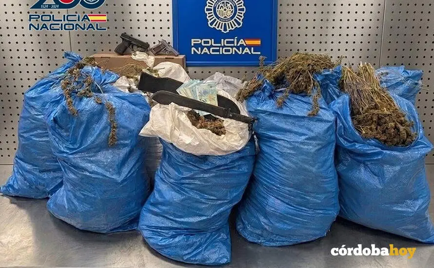 Cogollos secos de marihuana listos para su distribuci&oacute;n FOTO POLIC&Iacute;A NACIONAL