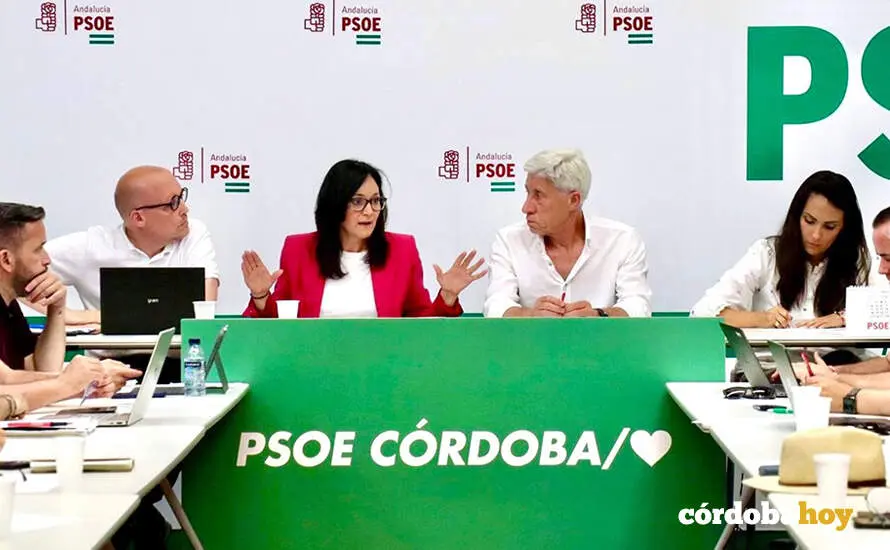 La secretaria general del PSOE de C&oacute;rdoba, Rafi Cresp&iacute;n, en la reuni&oacute;n de la Comisi&oacute;n Ejecutiva Provincial (CEP) los resultados de las Elecciones Auton&oacute;micas del 17M FOTO PSOE DE C&Oacute;RDOBA