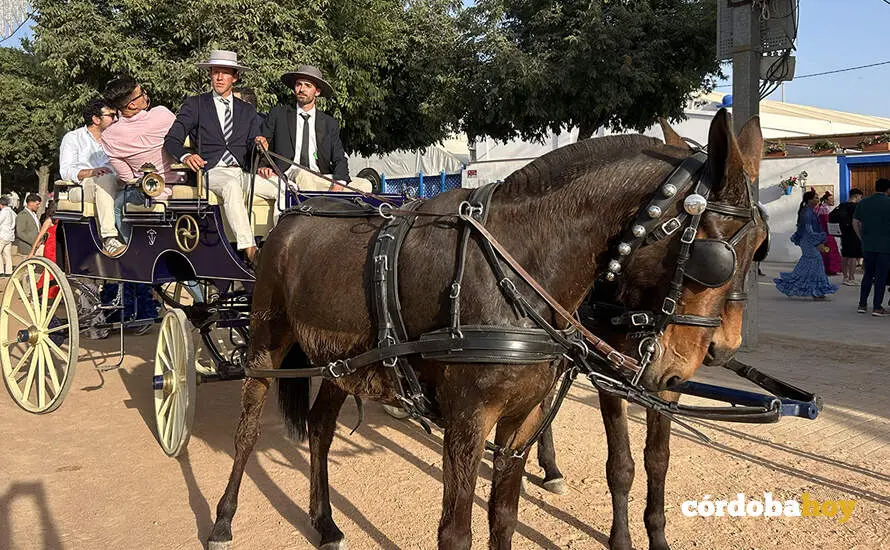 Feria de Nuestra Se&ntilde;ora de La Salud 2026