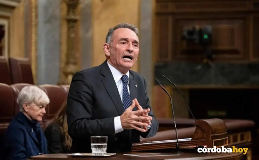 Enrique Santiago en el Congreso de los Diputados FOTO IU
