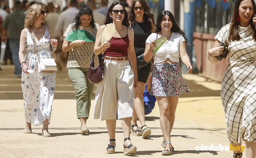 Mi&eacute;rcoles de Feria 2026