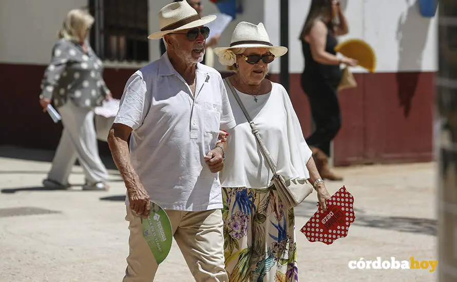Mi&eacute;rcoles de Feria 2026