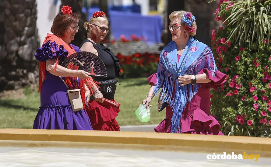 Mi&eacute;rcoles de Feria 2026