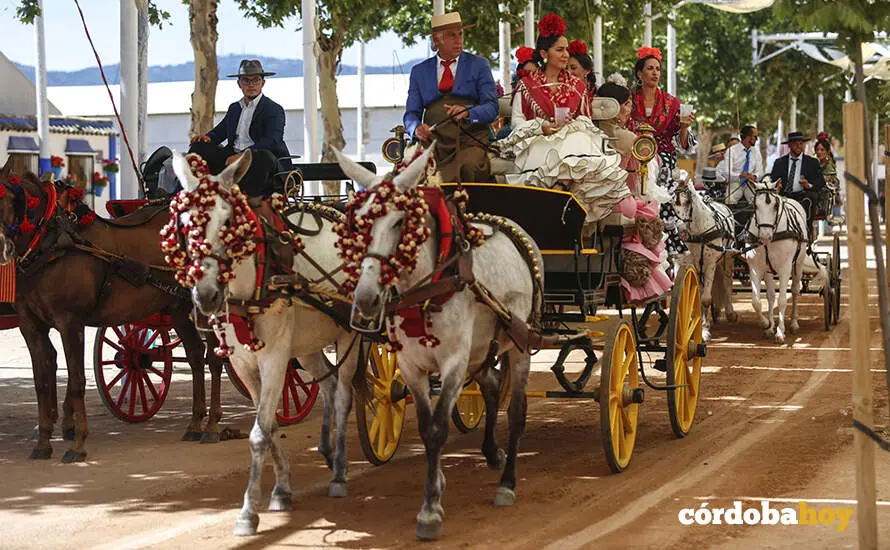 Mi&eacute;rcoles de Feria 2026