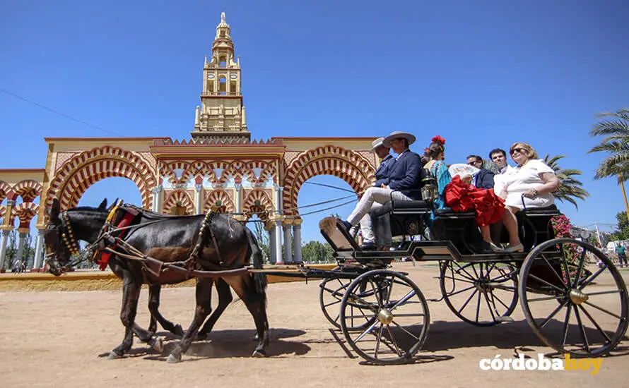 Mi&eacute;rcoles de Feria 2026