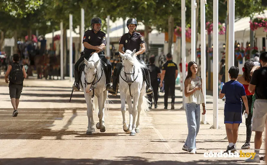 Mi&eacute;rcoles de Feria 2026
