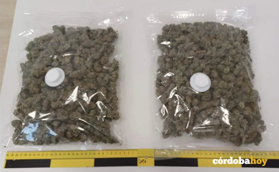 Marihuana intervenida en la Entidad Local Aut&oacute;noma (ELA) de Encinarejo de C&oacute;rdoba a un var&oacute;n en su coche FOTO GUARDIA CIVIL