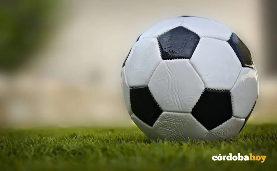 FUTBOL