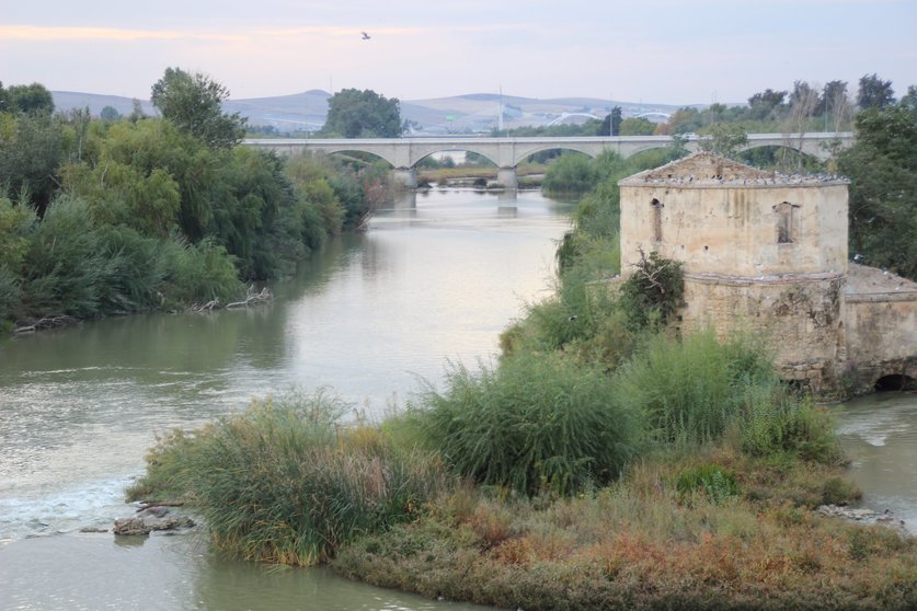 rio guadalquivir