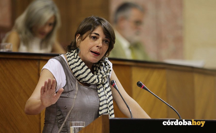 Elena Cortés durante una intervención parlamentaria