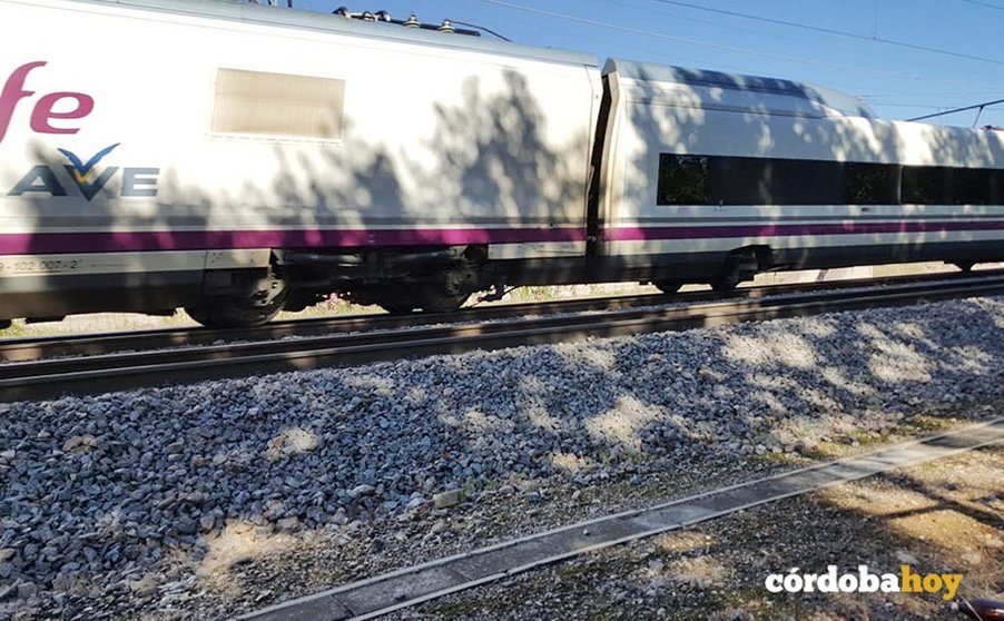 Tren AVE a su paso por Córdoba