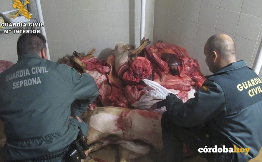 Carne incautada por la Guardia Civil de Córdoba
