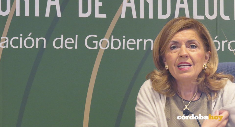 María jesús Botella en la delegación del Gobierno de la Junta
