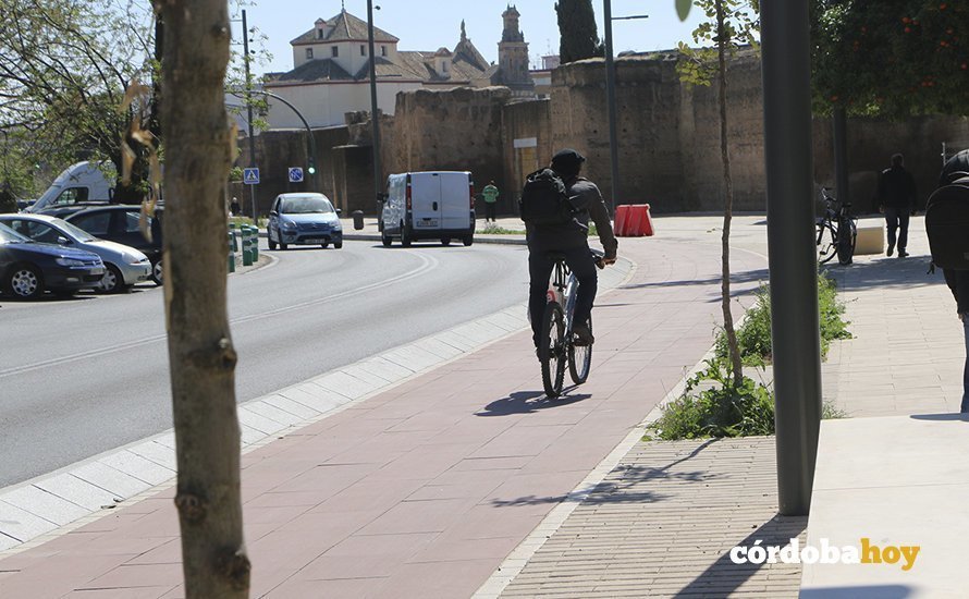 Un usuario del carril-bici por la Ronda de El Marrubial