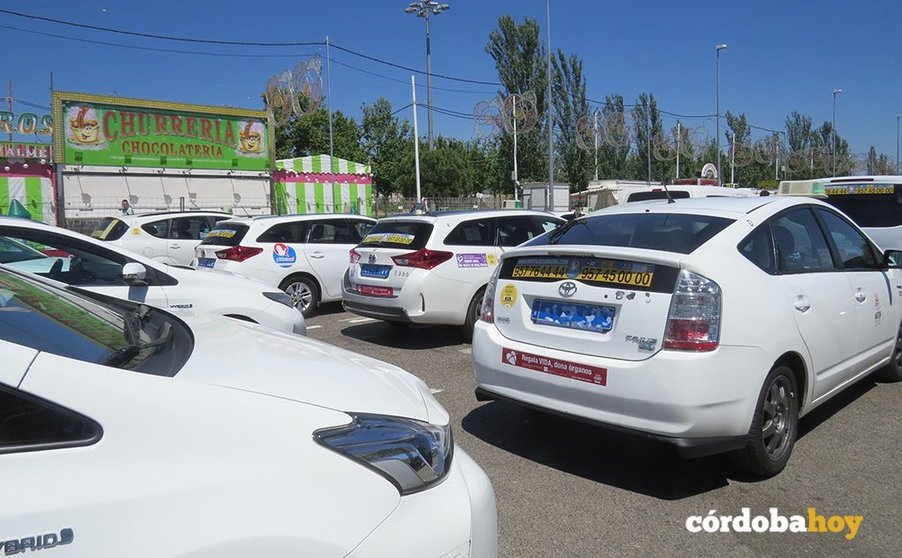 Taxis en la parada de la Feria de Córdoba