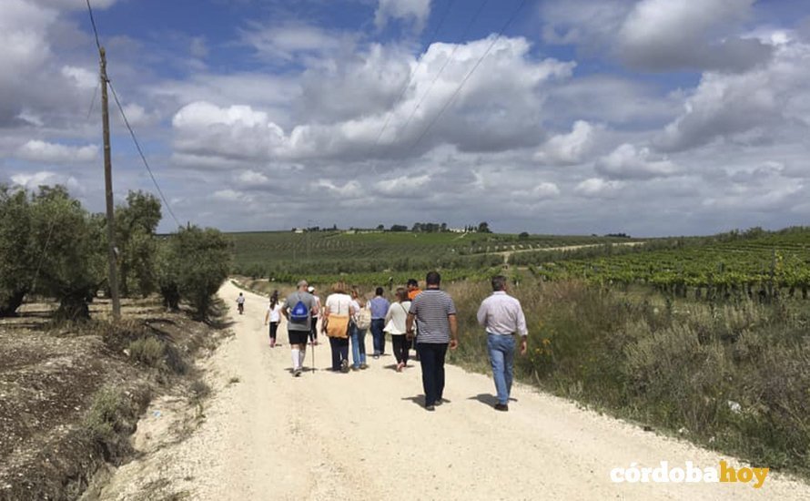 Visitantes en busca de los paisajes y vinos de Moriles
