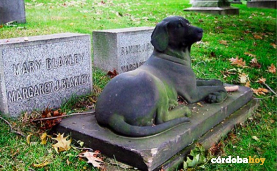 Una tumba de un perro en un cementerio de animales