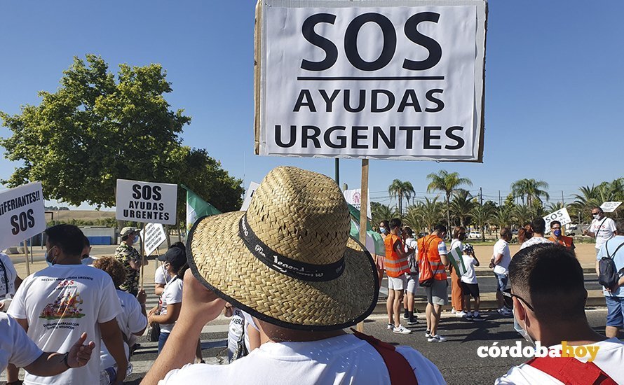 Protesta de feriantes en Córdoba 3