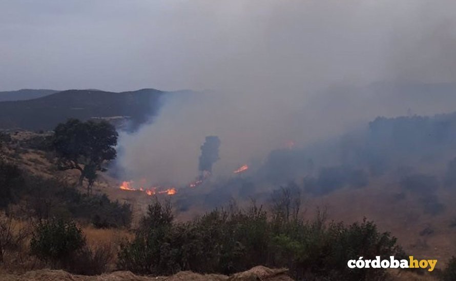 Incendios en Cerro Muriano