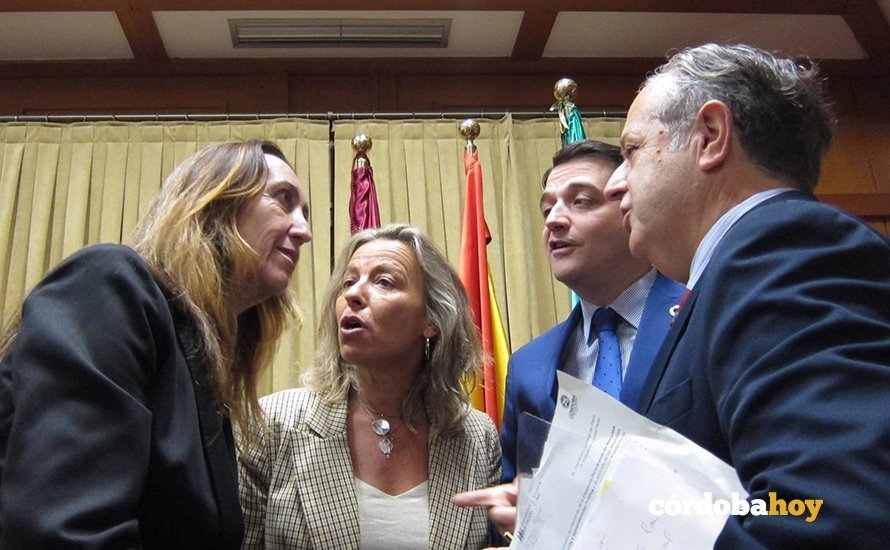Paula Badanelli, Isabel Albás, José María Bellido y Salvador Fuentes en un Pleno prepandémico