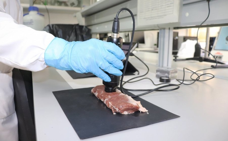 Tecnología desarrollada por la UCO para detectar fraudes en los productos del cerdo ibérico