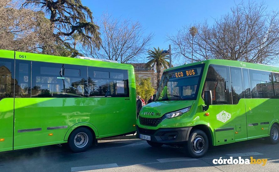 Presentación de los nuevos minibuses ecológicos para Córdoba