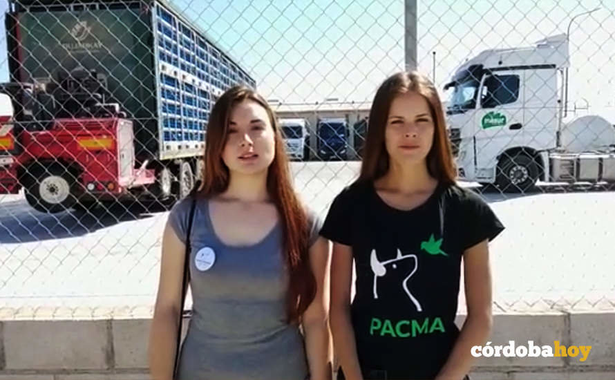 Dos activistas de Pacma en el matadero de pollos de Pedro Abad