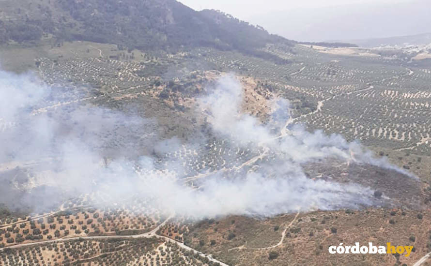 Fuego en el paraje Cerro del Olivar de Rute, el pasado 16 de junio FOTO INFOCA
