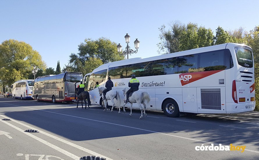 Autobuses turísticos en la Ribera