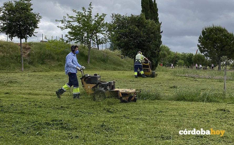 Jardineros trabajando en el Parque de La Asomadilla
