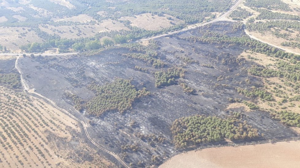 Superficie quemada en el incendio del paraje de El Malagón, en Belalcázar