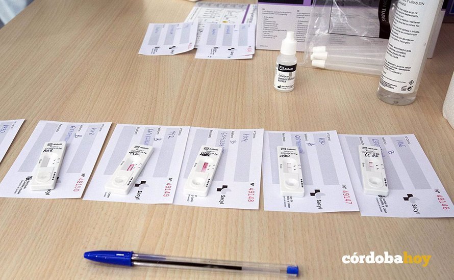 Tests de antígenos dispuestos para su uso, en una imagen de archivo