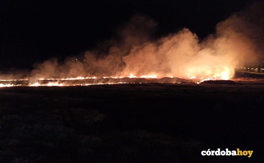 El segundo incendio de pastos en Miralbaida en diez días