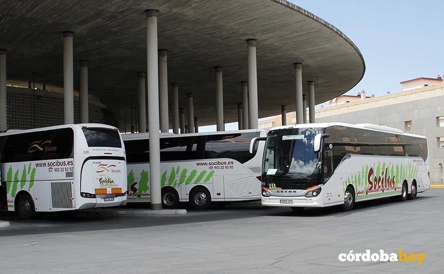 Autobuses de Socibús en la estación de autobuses