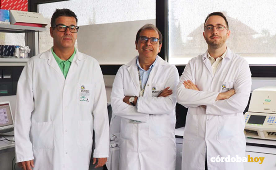 Los investigadores de la UCO y del Imibic Juan Roa, Manuel Tena-Sempere y Miguel Ruiz-Cruz