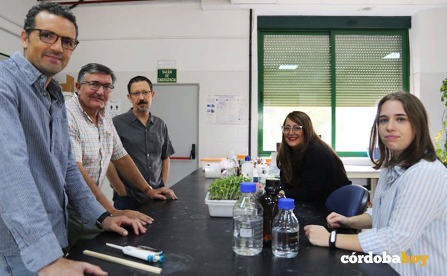 El equipo de Fisiología Vegetal de la Universidad de Córdoba