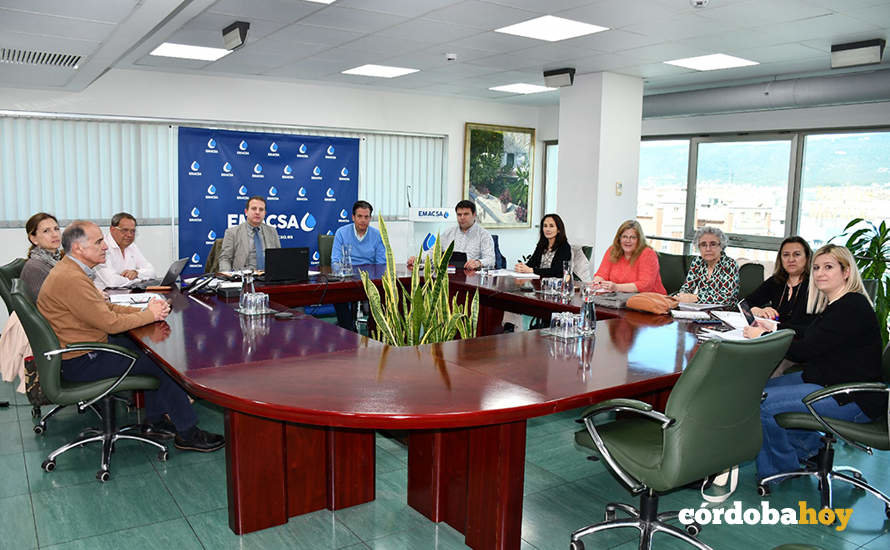 Grupo de trabajo sobre el Programa de Vigilancia Sanitaria del Agua de Andalucía